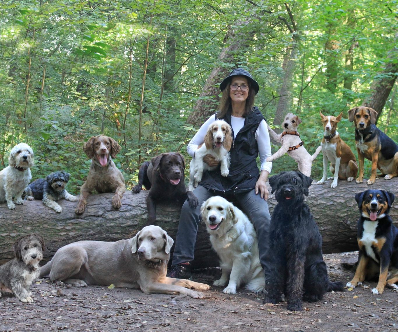 Hier waren alle Hunde nur für ein Fotoshootings zusammengetroffen. Ich betreue täglich 5 Pflegehunde und meine beiden eigenen.